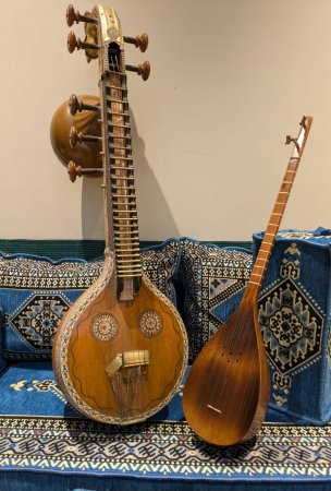 Veena and Tanboor