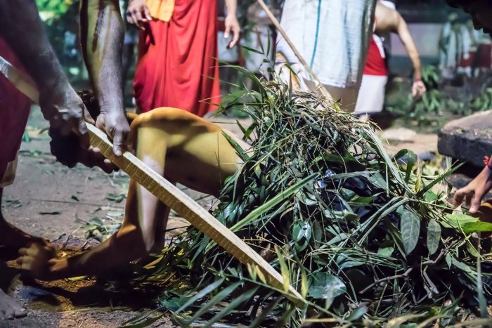 Adavi by thorns from Venpala, 2018