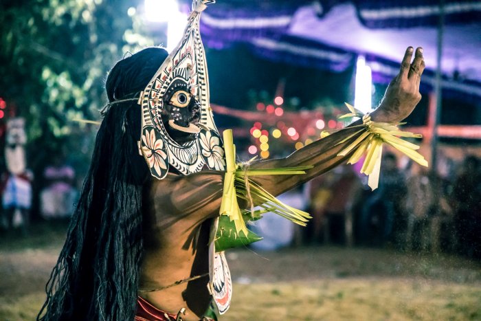 Marutha from Eraviperoor, 2019