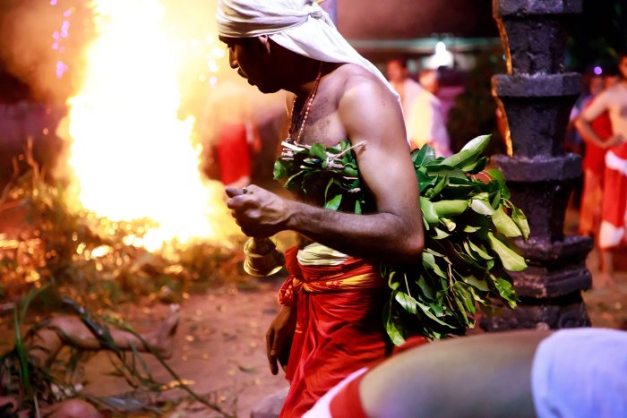 Velichappadu from Venpala, 2017