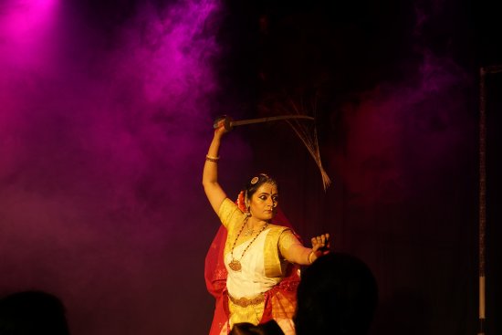 Dr. Vidya Shimladka