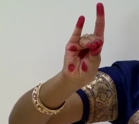 Simhamukhaha mudra