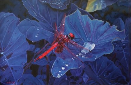 Dragonfly by Babu K.G