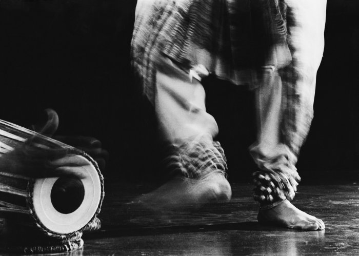 Avinash Pasricha - Made for each other-Award winning pic